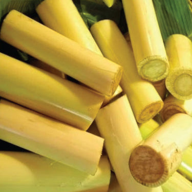 Banana Stem